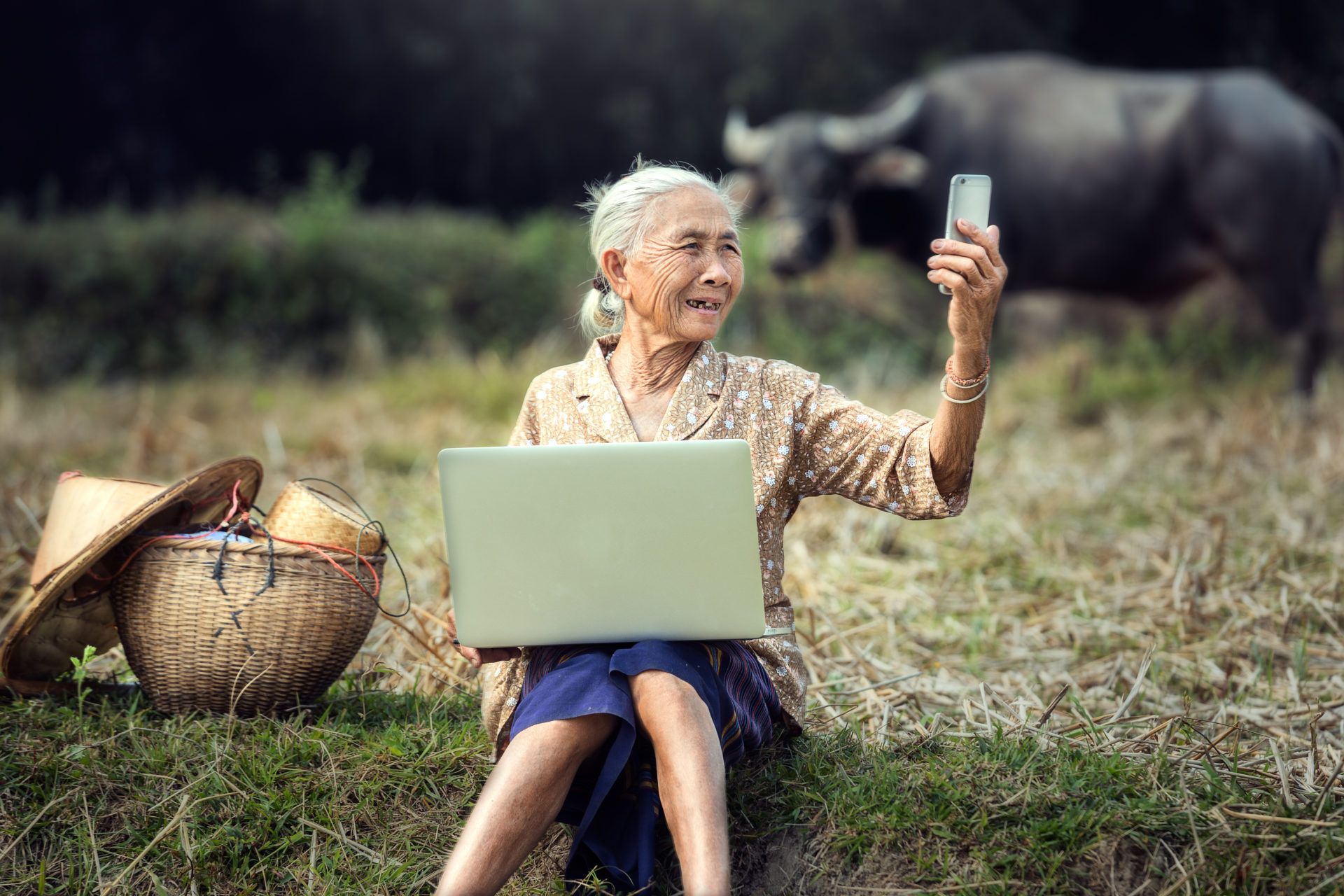 Kalinga Mobile and Web App